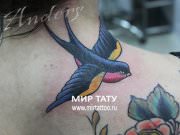 Тату Салон  «Мир Тату»