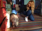 Фани Кабани, ресторан