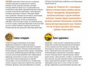 DREAMTERRA В МОСКВЕ