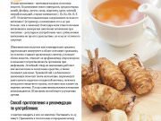 DREAMTERRA В МОСКВЕ