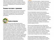 DREAMTERRA В МОСКВЕ