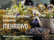 DREAMTERRA В МОСКВЕ