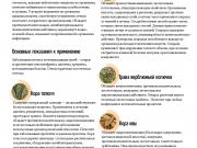 DREAMTERRA В МОСКВЕ