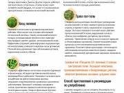 DREAMTERRA В МОСКВЕ