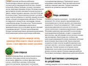 DREAMTERRA В МОСКВЕ