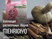 DREAMTERRA В МОСКВЕ