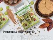 DREAMTERRA В МОСКВЕ