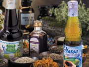 DREAMTERRA В МОСКВЕ