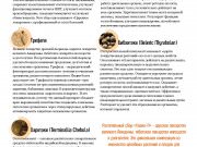 DREAMTERRA В МОСКВЕ