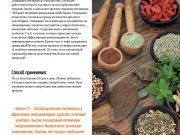 DREAMTERRA В МОСКВЕ