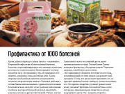 DREAMTERRA В МОСКВЕ