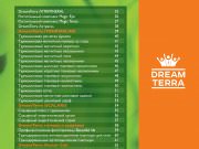 DREAMTERRA В МОСКВЕ