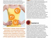 DREAMTERRA В МОСКВЕ