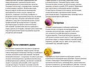 DREAMTERRA В МОСКВЕ