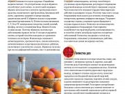 DREAMTERRA В МОСКВЕ