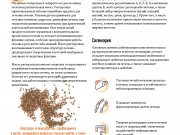 DREAMTERRA В МОСКВЕ