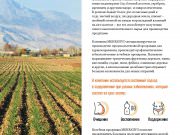 DREAMTERRA В МОСКВЕ