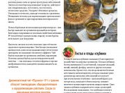 DREAMTERRA В МОСКВЕ