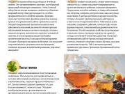 DREAMTERRA В МОСКВЕ