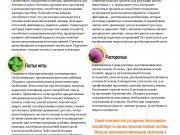 DREAMTERRA В МОСКВЕ