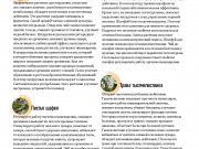 DREAMTERRA В МОСКВЕ