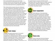 DREAMTERRA В МОСКВЕ