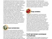 DREAMTERRA В МОСКВЕ