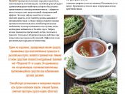 DREAMTERRA В МОСКВЕ