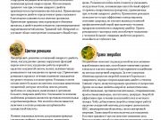 DREAMTERRA В МОСКВЕ