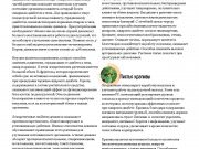 DREAMTERRA В МОСКВЕ