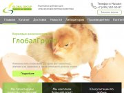 Глобал Групп