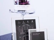 I N T U ' T I O N 2/05