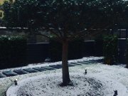 ИНЖЕНЕР, ООО (Москва)