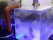 ИНЖЕНЕР, ООО (Москва)