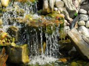 ПрофПокрытие