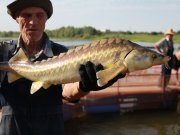 Астраханская рыбоводная компания "Белуга"