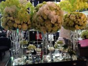 Siberia, ресторан