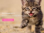 Центр Ветеринарной медицины "ШАНС"