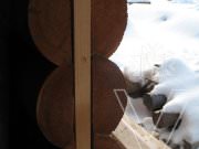 Хольцстайл