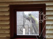 Хольцстайл