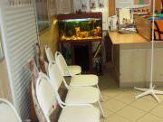 Ветеринарная клиника "Ниаландо - вет"