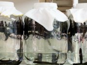 Продажа/Купить пиявок в ЦАО