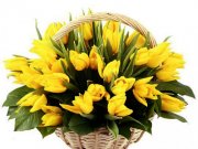 Цветы России