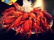 Старина Мюллер, сеть пивных ресторанов