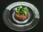 City Space, бар-ресторан