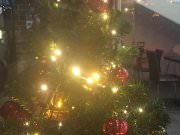 Му-Му, сеть кафе быстрого питания