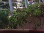 Хороший год