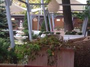 Хороший год