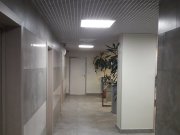 Нью Лайн Телеком, телекоммуникационная компания
