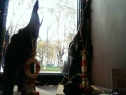 Тай Тай, ресторан